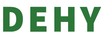 DR. EDWARD HAMMOND YAMOAH MEMORIAL FOUNDATION logo